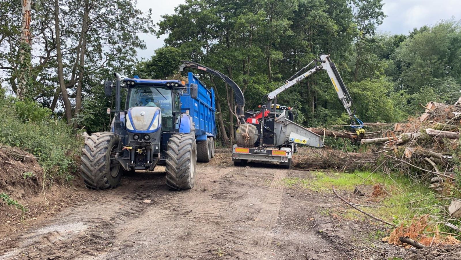 Plant Machinery For Sale