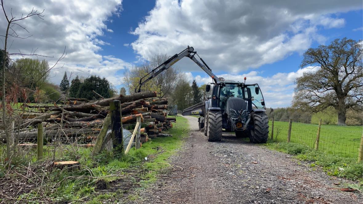 Forestry Work